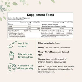 Collagen Powder