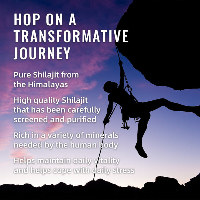 Shilajit & Black Seed Oil Gummies